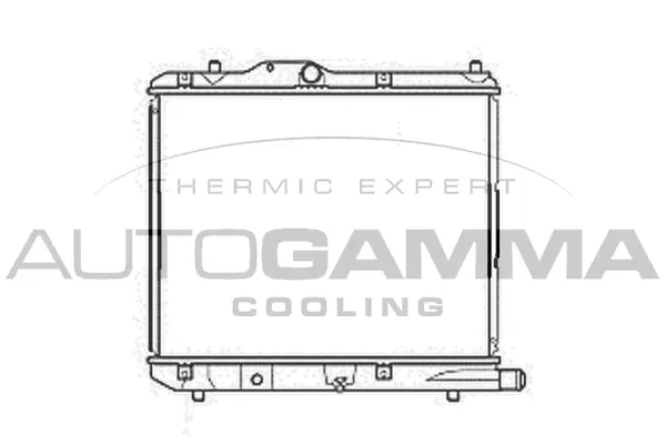 Radiator, engine cooling (105761)
