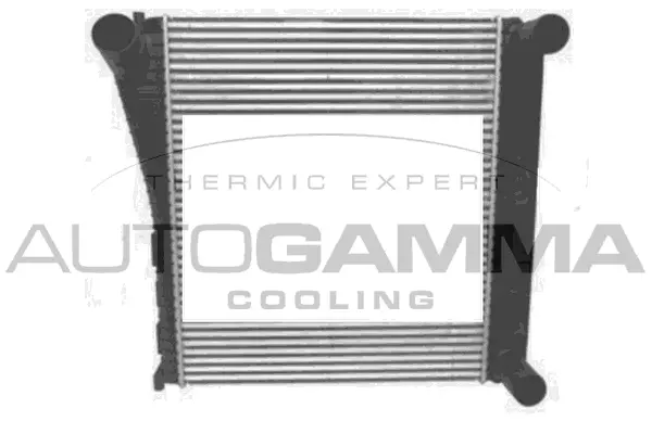 Charge Air Cooler (107704)