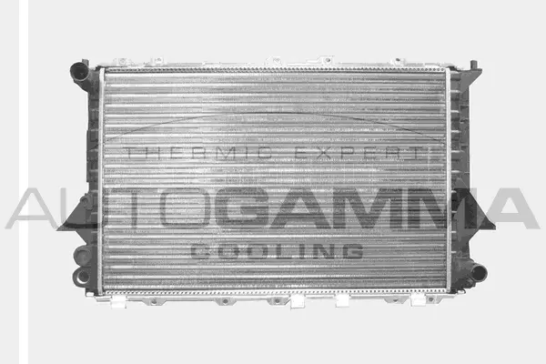 Radiator, engine cooling (100060)