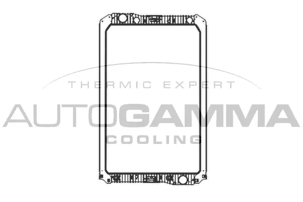 Radiator, engine cooling (404554)