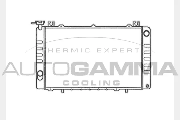 Radiator, engine cooling (104101)