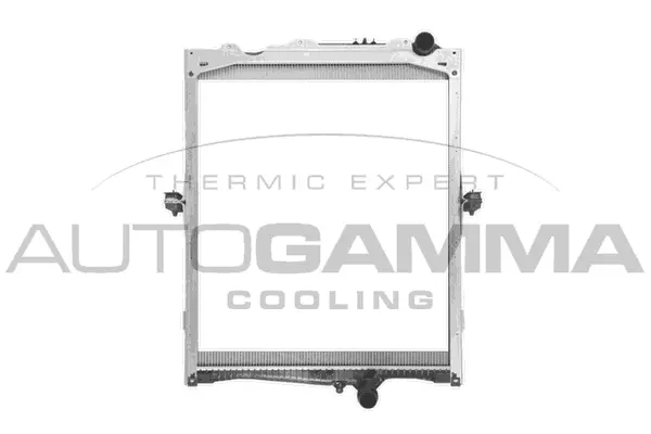 Radiator, engine cooling (405500)