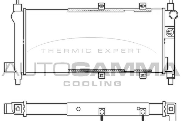 Radiator, engine cooling (100074)