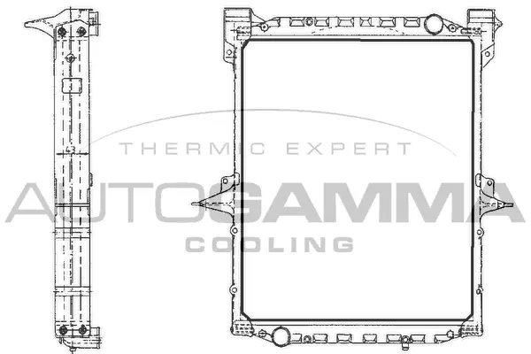 Radiator, engine cooling (400576)