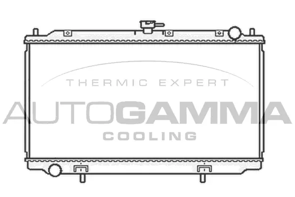 Radiator, engine cooling (103502)