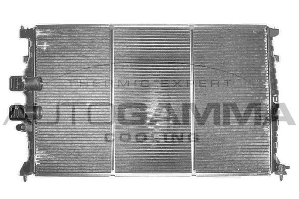 Radiator, engine cooling (101234)