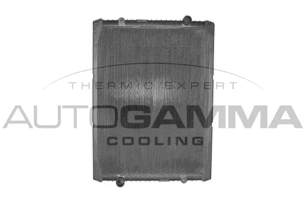 Radiator, engine cooling (400364)