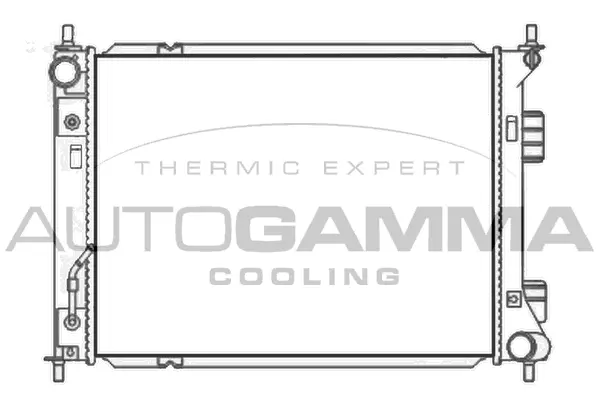 Radiator, engine cooling (107490)