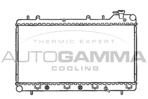 Radiator, engine cooling (102309)