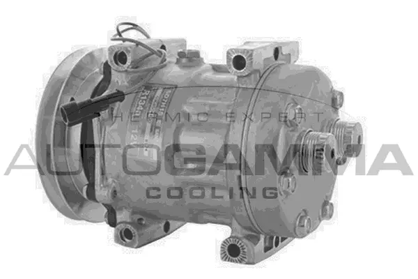 Compressor, air conditioning (118629)