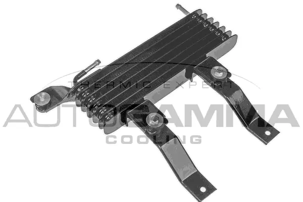 Oil Cooler, engine oil (107808)