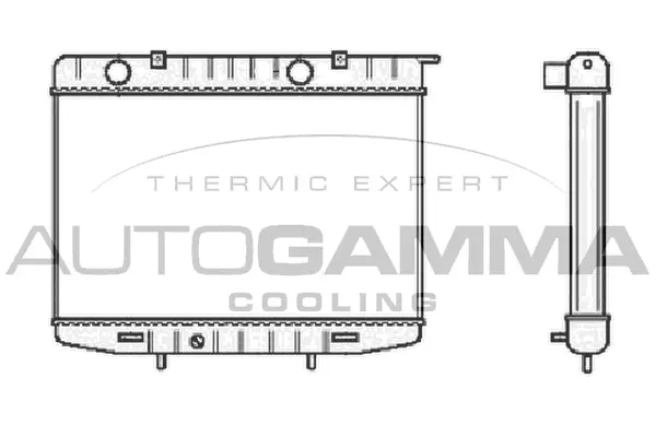Radiator, engine cooling (102228)