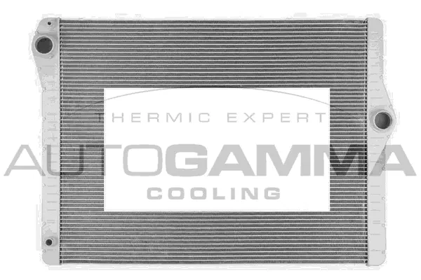 Radiator, engine cooling (107128)