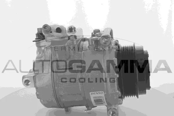 Compressor, air conditioning (118600)
