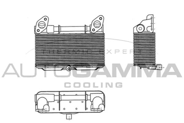 Oil Cooler, engine oil (303712)
