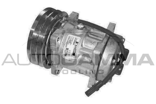 Compressor, air conditioning (108146)