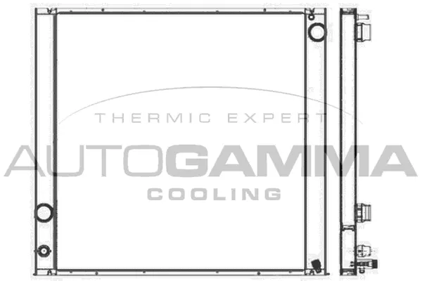 Radiator, engine cooling (107369)