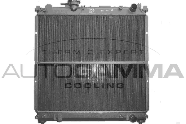 Radiator, engine cooling (101264)