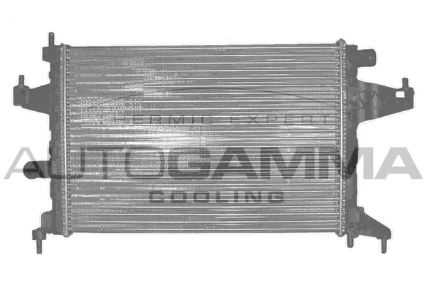 Radiator, engine cooling (102849)