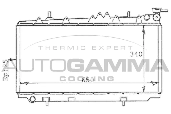 Radiator, engine cooling (100629)
