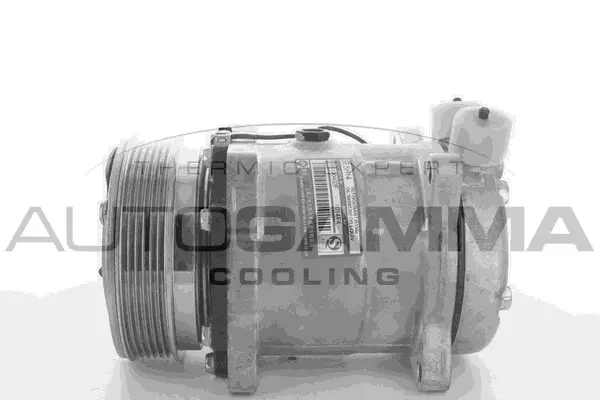 Compressor, air conditioning (109130)