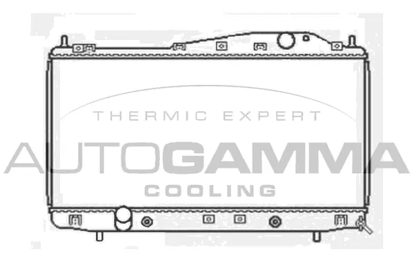 Radiator, engine cooling (103953)