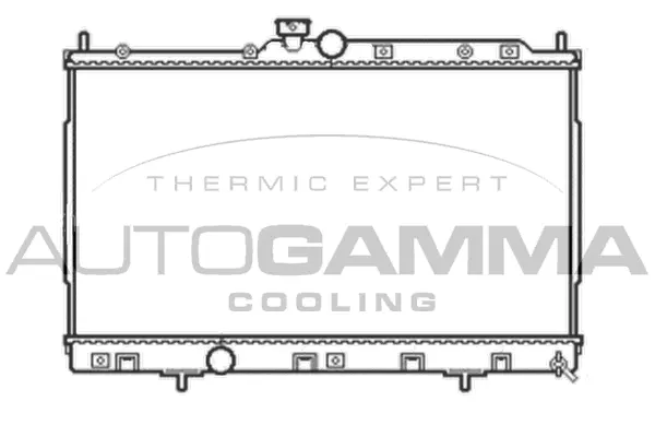 Radiator, engine cooling (105051)