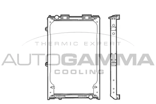 Radiator, engine cooling (400656)