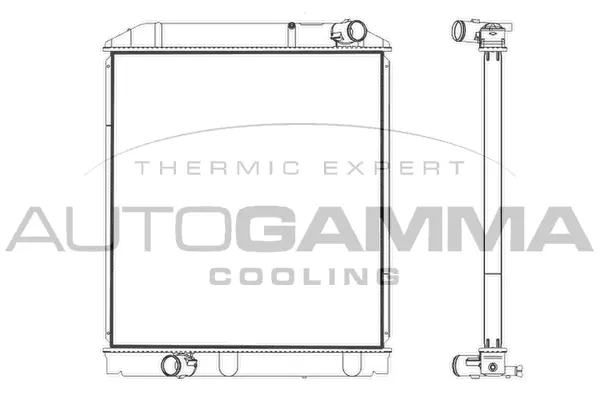 Radiator, engine cooling (107889)