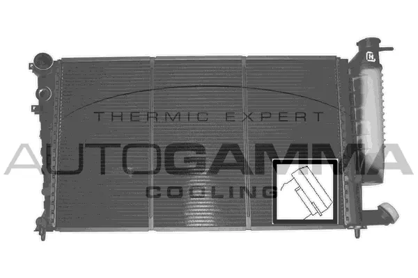 Radiator, engine cooling (100756)