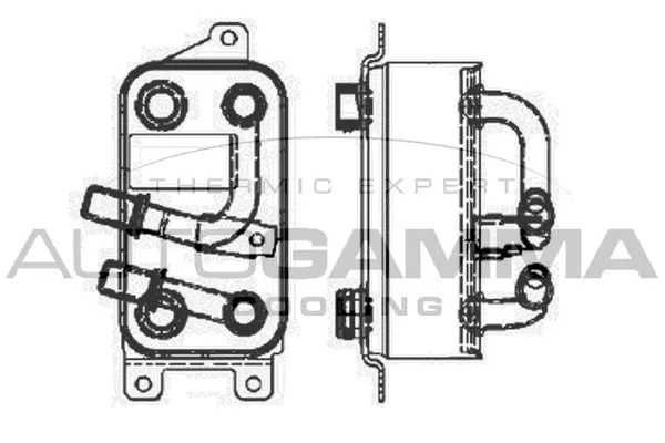 Oil Cooler, engine oil (103861)