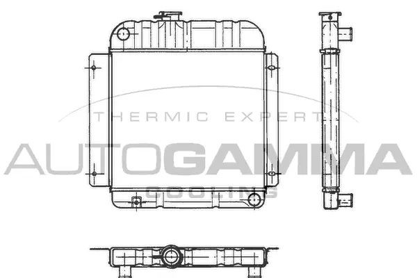 Radiator, engine cooling (100080)