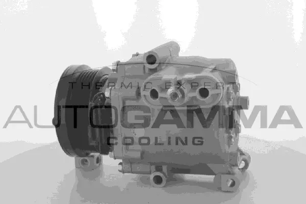 Compressor, air conditioning (108899)