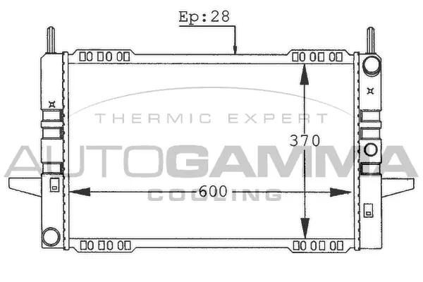 Radiator, engine cooling (100389)