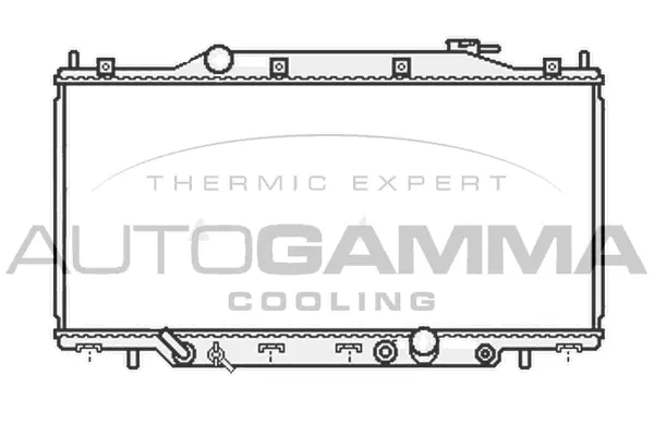 Radiator, engine cooling (107022)