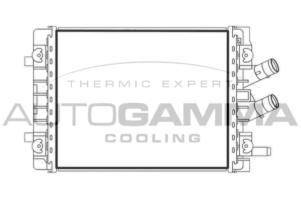 Radiator, engine cooling (107945)