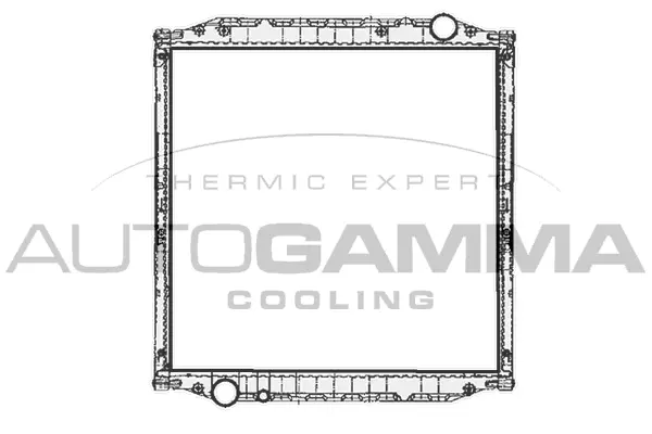 Radiator, engine cooling (404802)