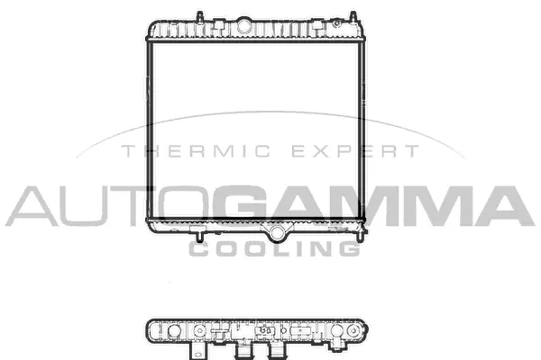 Radiator, engine cooling (107254)