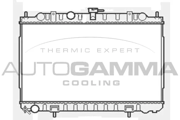 Radiator, engine cooling (103347)