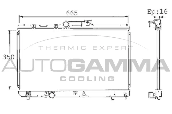 Radiator, engine cooling (101354)