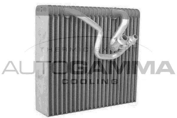 Evaporator, air conditioning (112043)