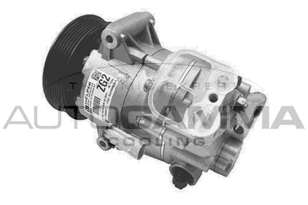 Compressor, air conditioning (118566)