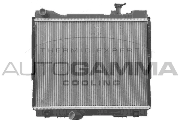 Radiator, engine cooling (107408)