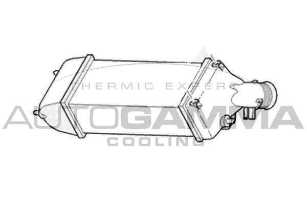 Charge Air Cooler (104962)