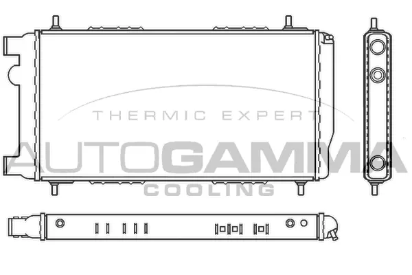 Radiator, engine cooling (100073)