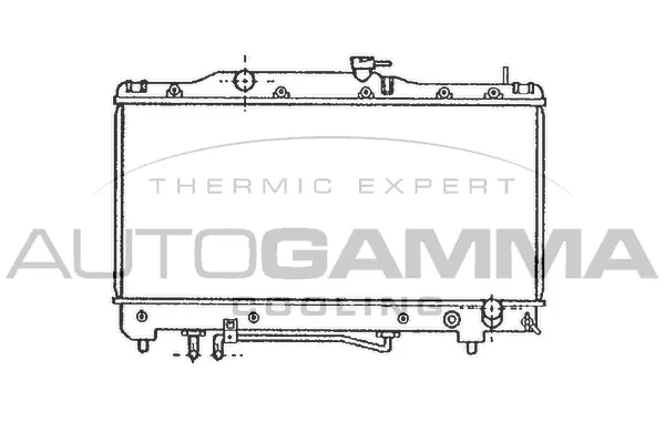 Radiator, engine cooling (101269)