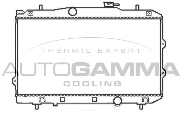 Radiator, engine cooling (105411)