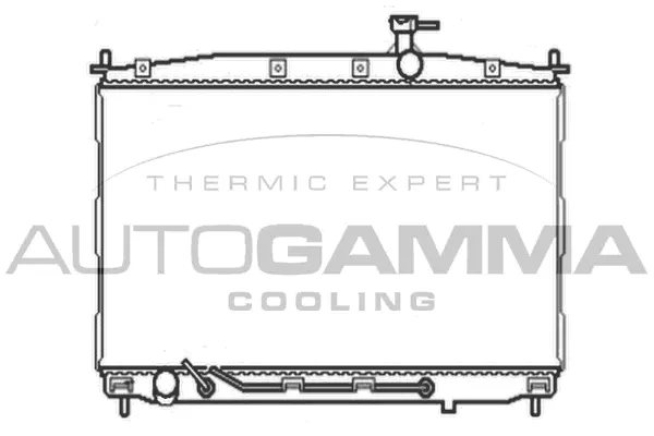 Radiator, engine cooling (104644)
