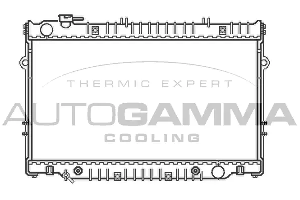 Radiator, engine cooling (102365)