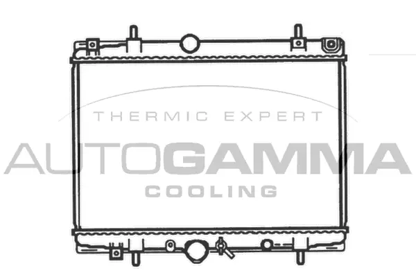 Radiator, engine cooling (102995)